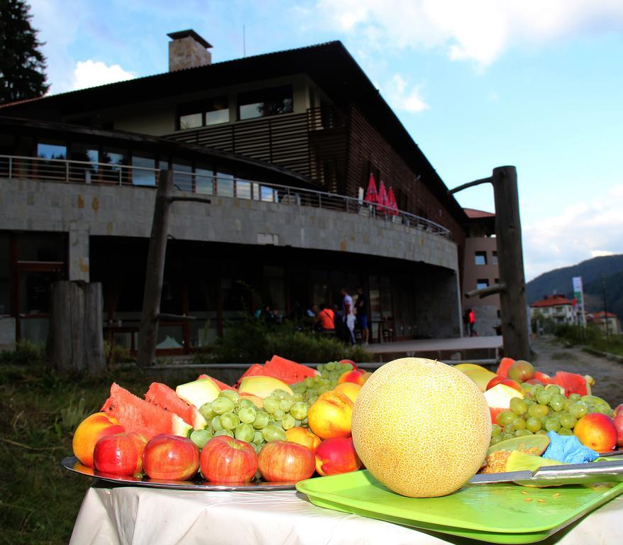 Borika Hotel Chepelare Exterior photo